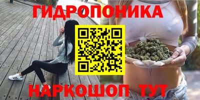 spice Бузулук