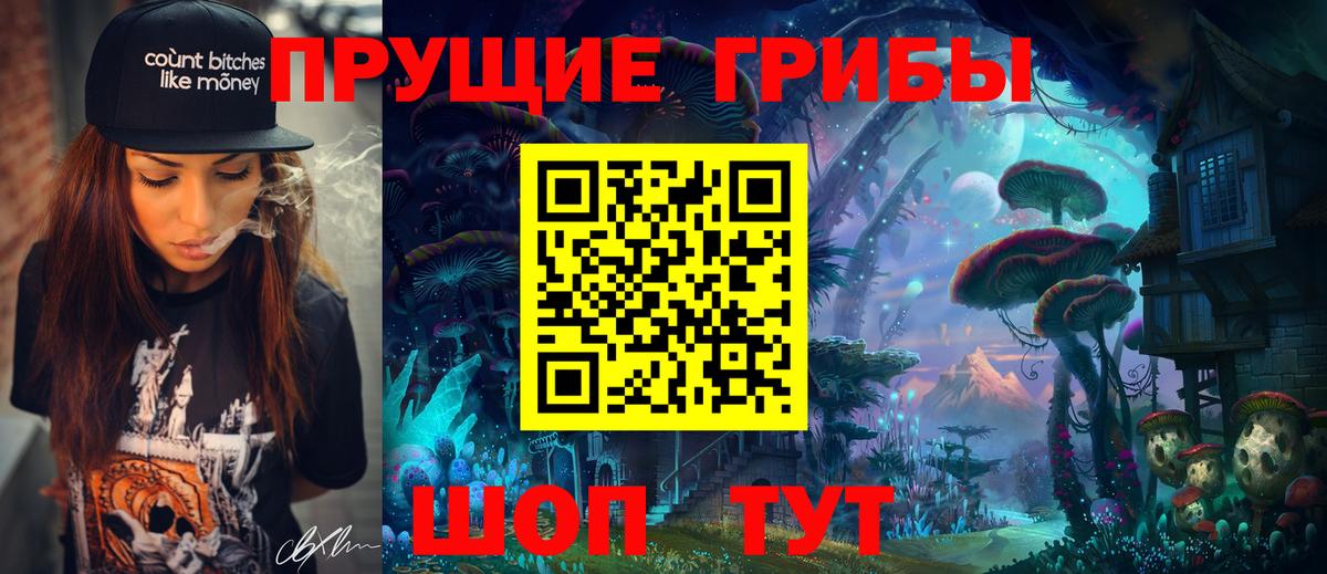 Кузнецк  купить закладку  Вход с VPN  Псилоцибиновые грибы MAGIC MUSHROOMS 