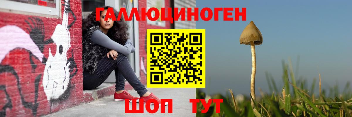 Галлюциногенные грибы GOLDEN TEACHER Кузнецк